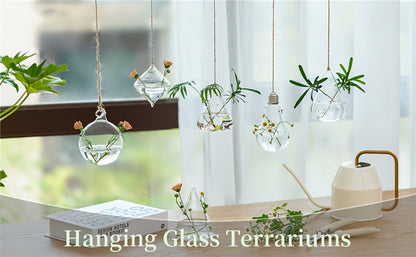 Five-Shape Clear Glass Hanging Terrarium Set with Rope Loops for Air Plants, Cuttings and Wall Display