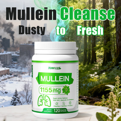 Lung Cleanse Capsules 120 Count with Mullein & NAC for Respiratory Support, Airway & Breathing Comfort, Immune Health, Seasonal & Year-Round Supplement for Adults
