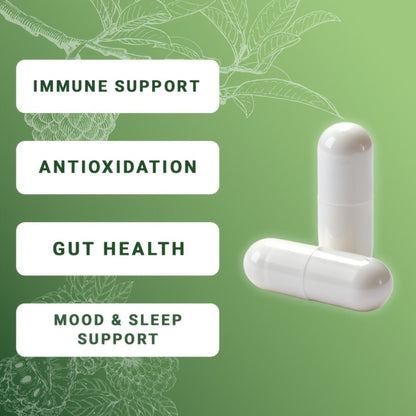 Dietary Supplement Sea Moss 24-in-1 Capsules with Soursop, Lion’s Mane and Shilajit, One or Two Bottles