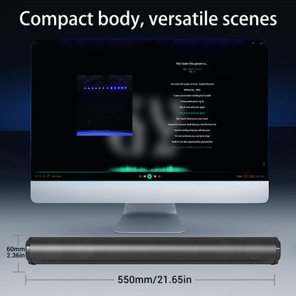 Detachable 21.65-Inch TV Soundbar with TF, AUX, USB and RCA Inputs, FM Radio and Black Finish