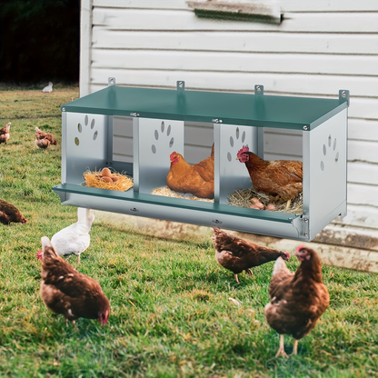 Metal Chicken Nesting Box Galvanized Steel 3-10 Compartment Roll-Away