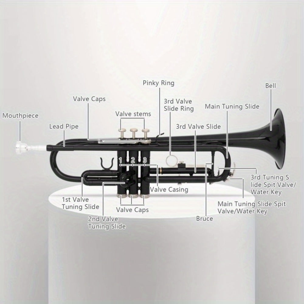 B-Flat Trumpet, 8.7 Cm, 50 Cm, Black, Nickel, Plating for School Band detail image - detail view 7
