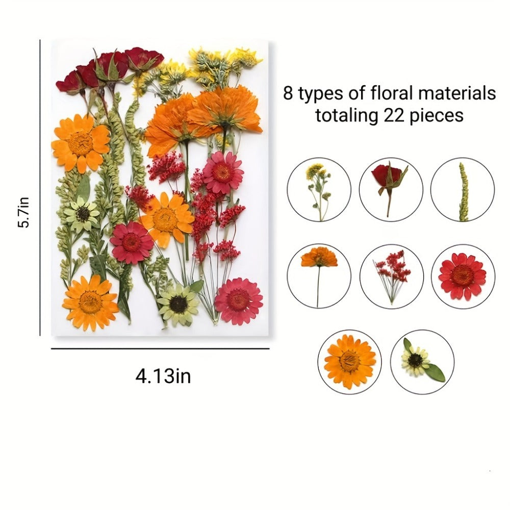 Pressed Flower Craft Set in 189, 238, 287 or 319-Piece Mixed Packs for Resin and Paper Projects