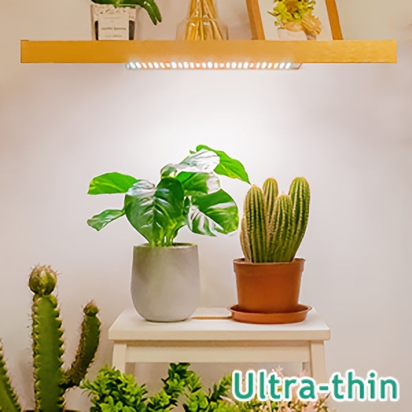 Grow Light | Full Spectrum 270 LED Timer Dimmable Indoor Plants Seedling