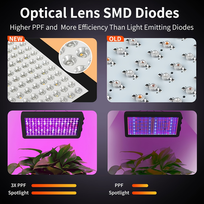LED Grow Light 1000W Full Spectrum – Dual-Switch Plant Light for Veg & Bloom, Hydroponic Hanging Grow Lamp for Indoor Greenhouse, Vegetables, Flowers & Seedlings, Plug & Play