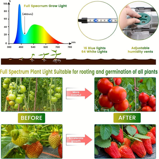 Seed Starting Tray Kit 4-Set 160 Cells High Dome | 8 LED Grow Lights Smart Timer 3 Modes 5 Brightness | Indoor Greenhouse Germination Propagation