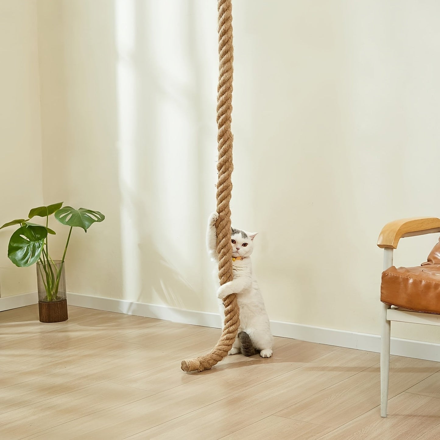 Wall-Mounted Cat Scratching Post with Climbing Rope Jute Rope Jump Platform Resting Perch Large Ladder Cat Tree Activity Center Space-Saving 1.5M 60in