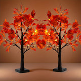Black Branch Red Maple Tree
