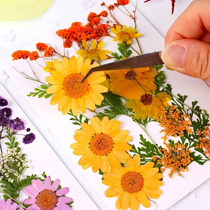 Pressed Flower Craft Set in 189, 238, 287 or 319-Piece Mixed Packs for Resin and Paper Projects