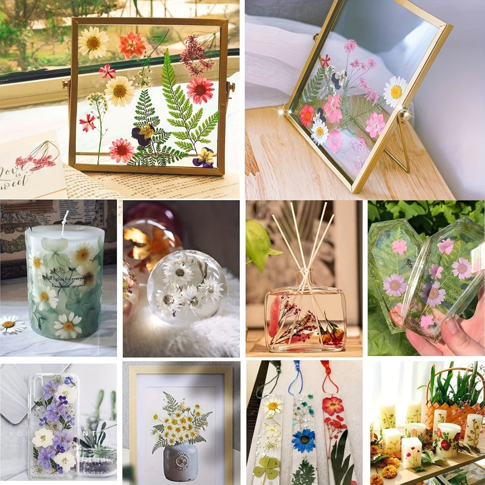500-Piece Natural Dried Pressed Flower and Leaf Assortment for Resin, Scrapbooks, Cards and DIY Crafts