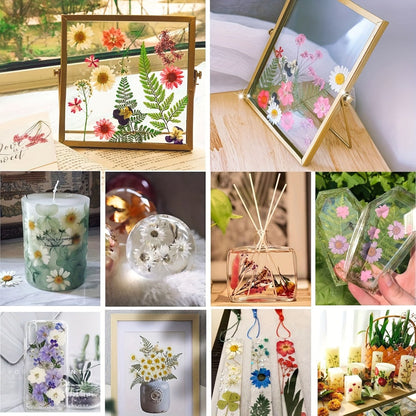 500-Piece Natural Dried Pressed Flower and Leaf Assortment for Resin, Scrapbooks, Cards and DIY Crafts
