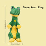 Sweet heart Frog