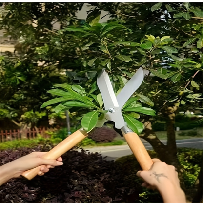 Carbon Steel Hedge Shears with 11-Inch Straight Blades and Paired Walnut Handles for Shrub Trimming