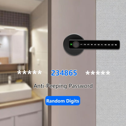 Smart Door Lock Handle with Fingerprint, PIN, IC Card and Key, 4 AAA Power and USB-C Emergency Port