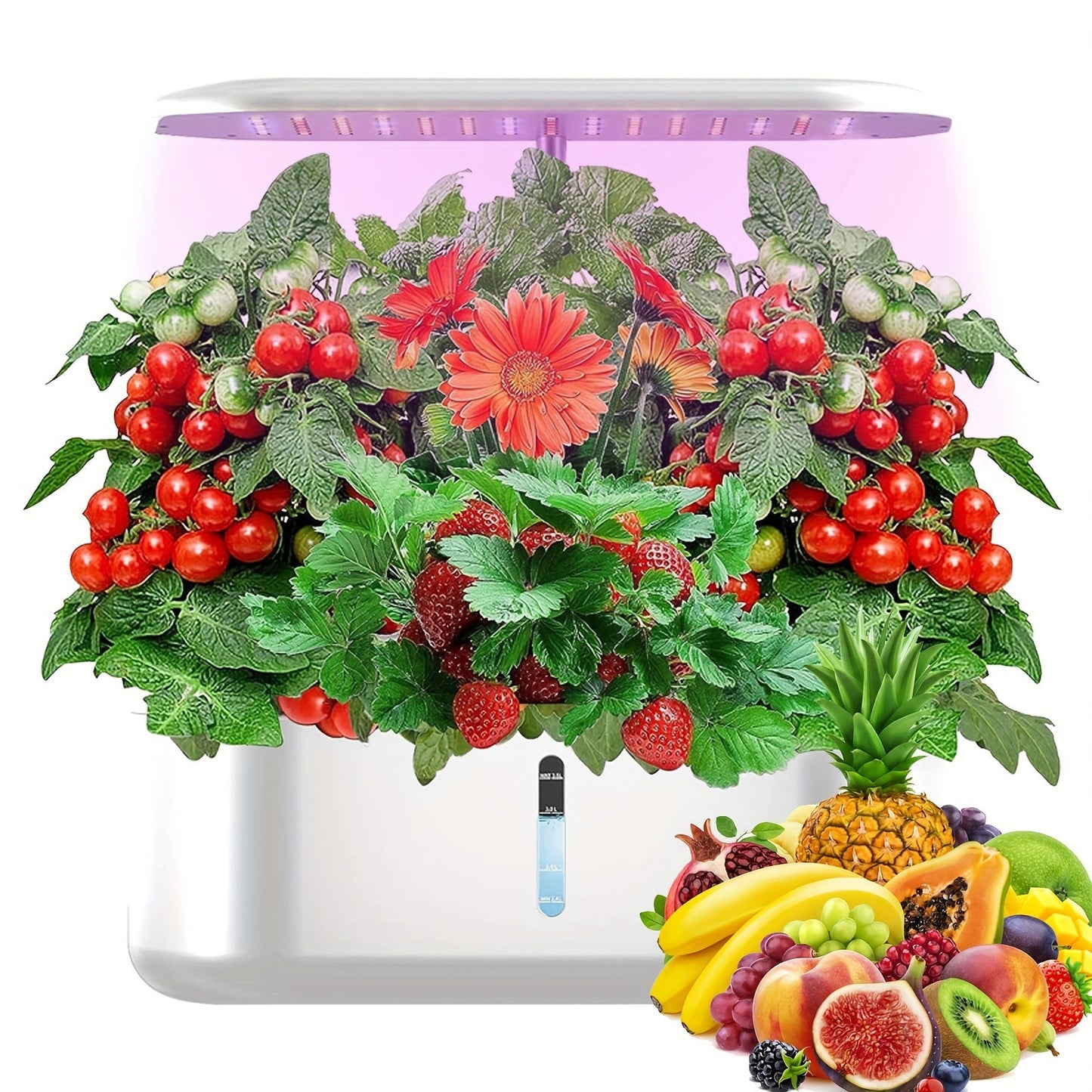 10-Pod Hydroponic Garden Kit with 24W LED Grow Light, Timer, One-Gallon Tank and Three Finishes