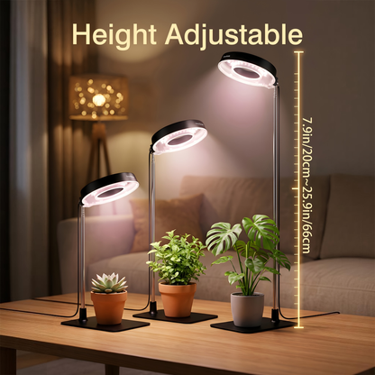Grow Light for Indoor Plants 4-Head Full Spectrum | 720° Rotatable Retractable Pole 4 Dimming Modes Auto Timer 3/6/9H USB | Desktop Potted Plants