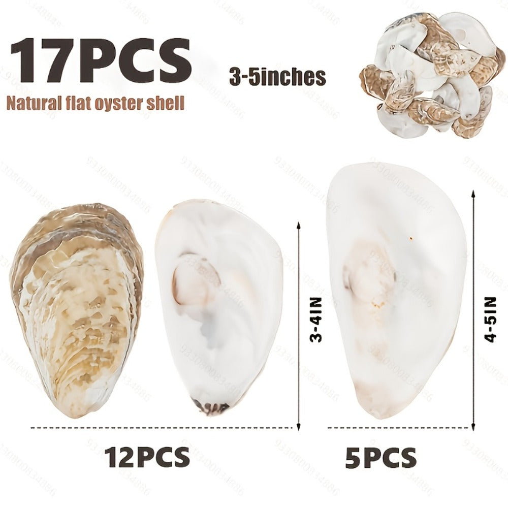 Natural Flat Oyster Shells for Crafts – 17pcs 3-5in Disk Shaped Sea Shells, Vase Filler, DIY Arts & Crafts, Christmas Ornaments, Home Decor, Beach Wedding Decoration