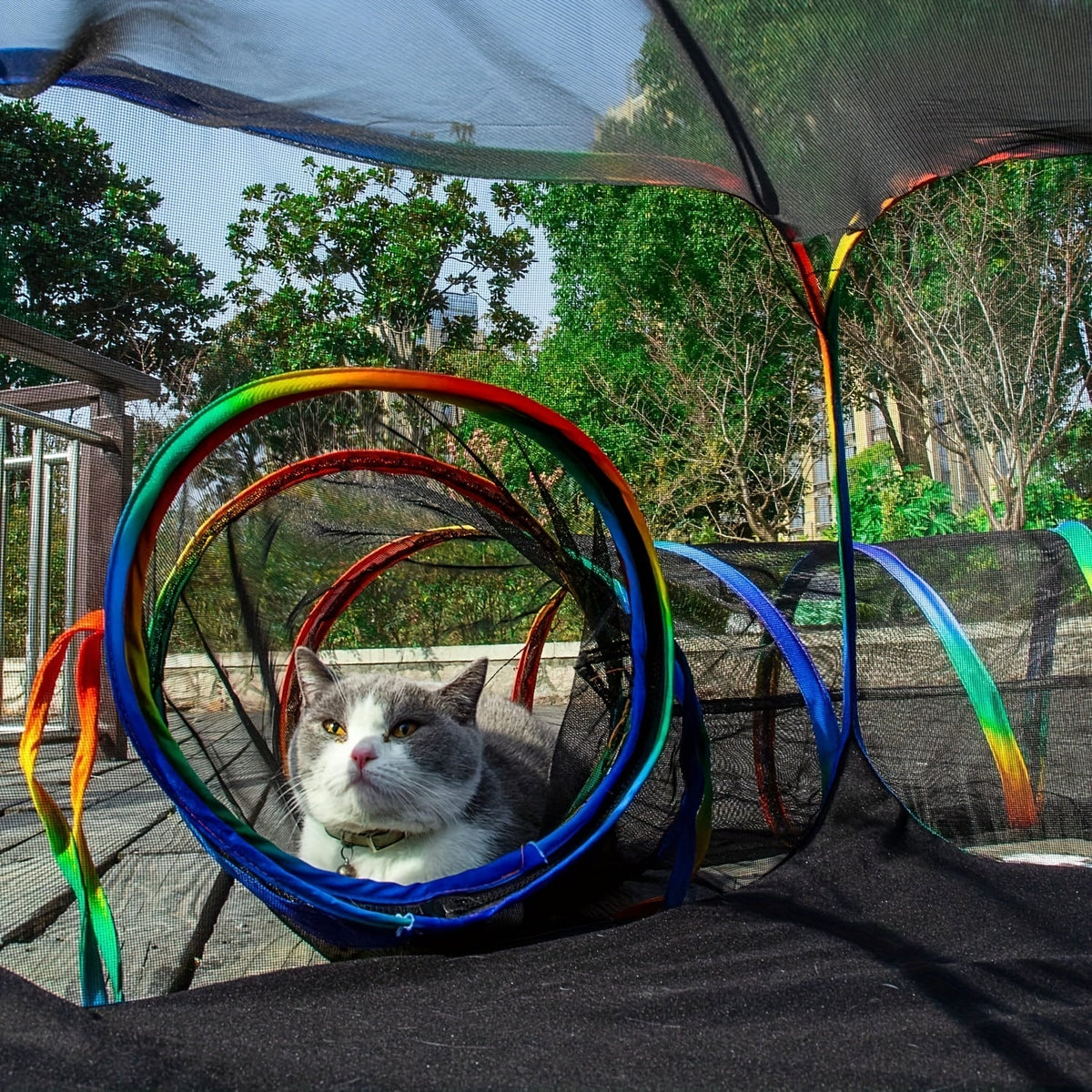 Outdoor Cat Enclosure with Tunnel - Rainbow Cat Playpen Tent with Circle Cat Tunnel for Cats Kittens & Small Animals, Portable Foldable Cat Outdoor Playground for Backyard Patio Garden