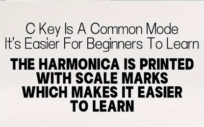 Blues Harmonica, Golden, Professional, Hole, C-Key for Blues Practice detail image - detail view 23
