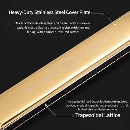 Blues Harmonica, Professional, Hole, Dual for Blues Practice detail image - detail view 6