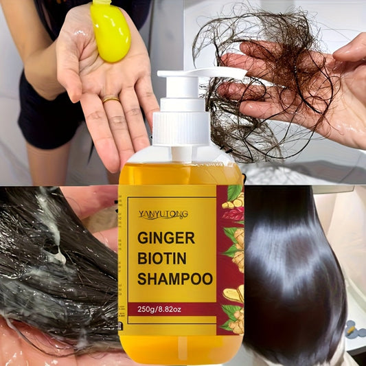 Ginger Biotin Shampoo 250g with Vitamin B7 for Hair Growth – Deep Cleansing, Hydrating, Anti-Breakage, Anti-Split Ends, Scalp Nourishing Strengthening Shampoo for Men and Women All Hair Types