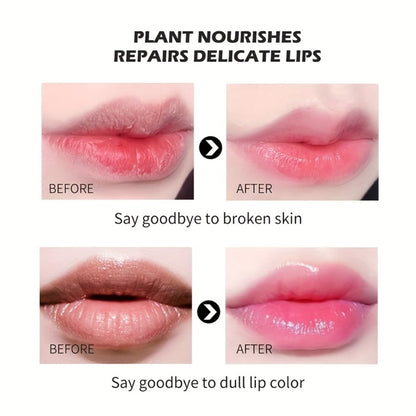 Six-Pack Jelly Flower Color-Changing Lip Balm Set with Temperature-Responsive Tint for Daily Wear