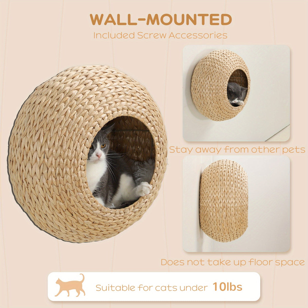 Pet Beds & Furniture