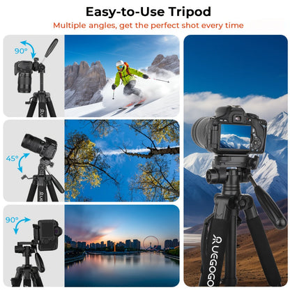 74-Inch Heavy-Duty Camera Tripod with Phone Holder Quick Release Plate & Carry Bag Professional DSLR Video Stand for Canon Nikon Sony Compatible with Cell Phones Projector Travel Tripod