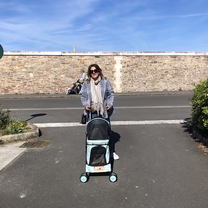 Compact Four-Wheel Pet Stroller with Dual Handles, Mesh Canopy, Lower Basket and Five Color Options