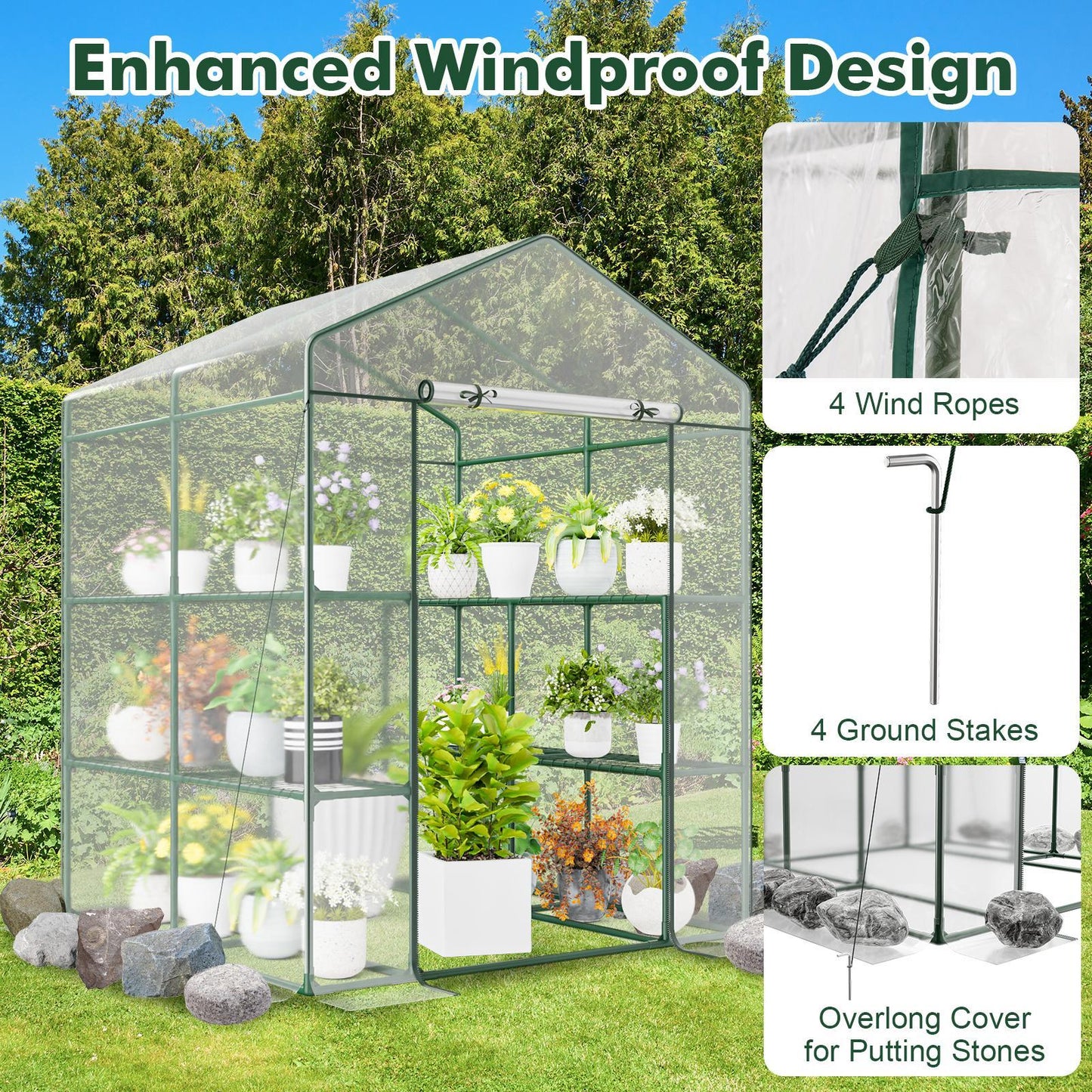 55 x 57 x 77-Inch Walk-In Greenhouse with Transparent Cover, Roll-Up Door and Eight Side Shelves