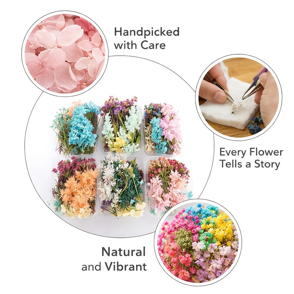 Four-Box Random Dried Flower Craft Set for Resin Jewelry, Candles and Cards with Mixed Color Assortment