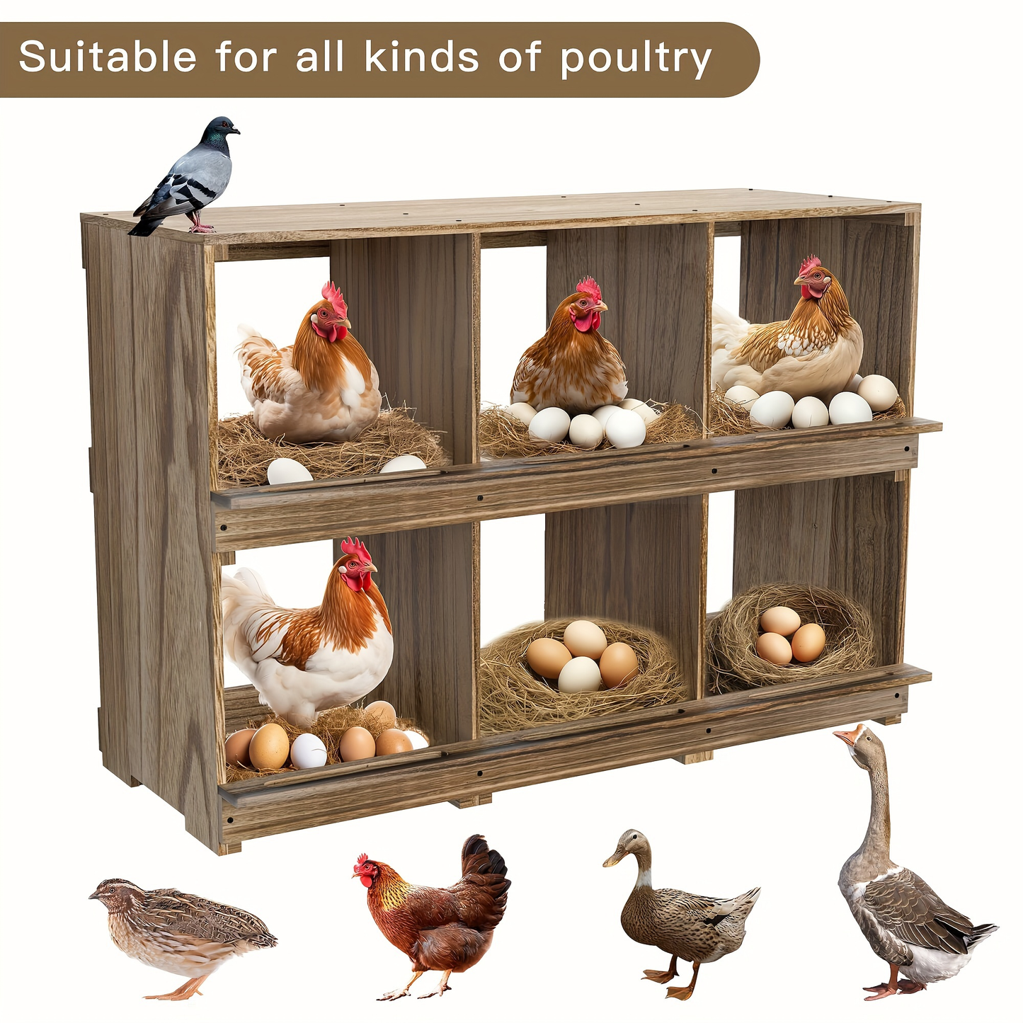 Chicken Nesting Box Wall Mount 4 Compartment Easy Egg Collection