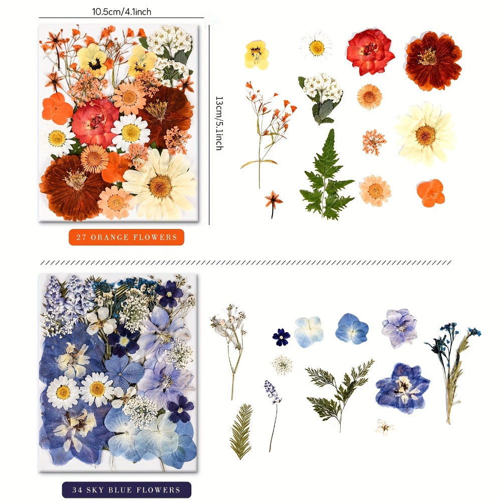 One Hundred Ten-Piece Pressed Flower and Leaf Assortment in Four Color-Themed Craft Packs Pictured