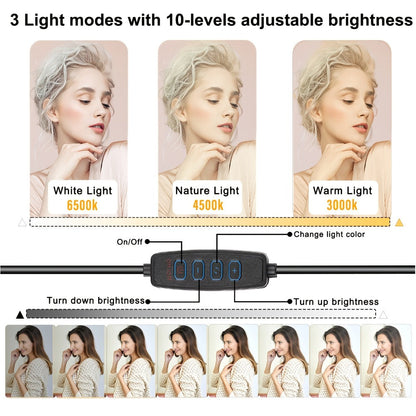 Square Fill Light Kit 10 Inch with Metal Ball Head & 15 Inch Extension Rod, Adjustable Tripod, 3 Color Modes
