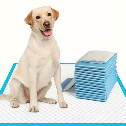 23.6-Inch Square Pet Training Pads with 50, 125 or 300-Piece Pack Options in Blue and White