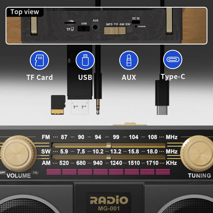 Portable AM/FM/SW Radio with 1200mAh Battery, Bluetooth, USB/TF/AUX Playback and LED Flashlight