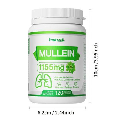 Lung Cleanse Capsules 120 Count with Mullein & NAC for Respiratory Support, Airway & Breathing Comfort, Immune Health, Seasonal & Year-Round Supplement for Adults
