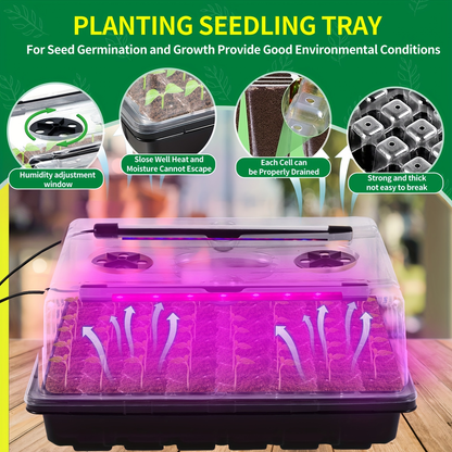 Seed Starter Tray with Grow Light 96 Cell Self-Watering, 10-Level Brightness & Timer, Humidity Dome