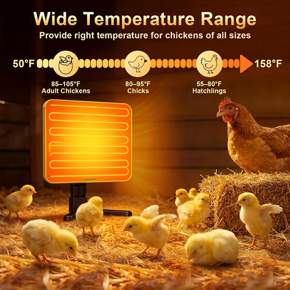 Chick Brooder Heating Plate with Adjustable Height & Angle, Digital Temp Control for Chicken Coop