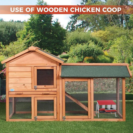 Chicken Nesting Box 3-Hole Metal Wall Mount | Auto Egg Collector Coop