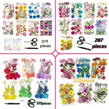 Pressed Flower Craft Set in 189, 238, 287 or 319-Piece Mixed Packs for Resin and Paper Projects