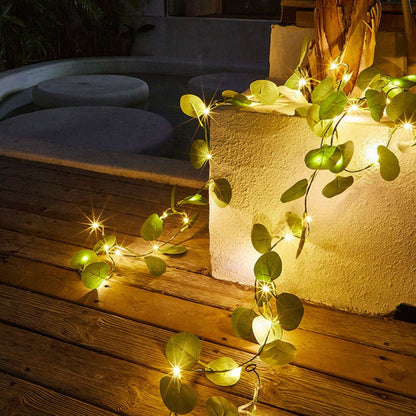 String Lights, Four-Piece Eucalyptus Leaf Wreath Set with 20 Warm LEDs per Strand and Battery Power