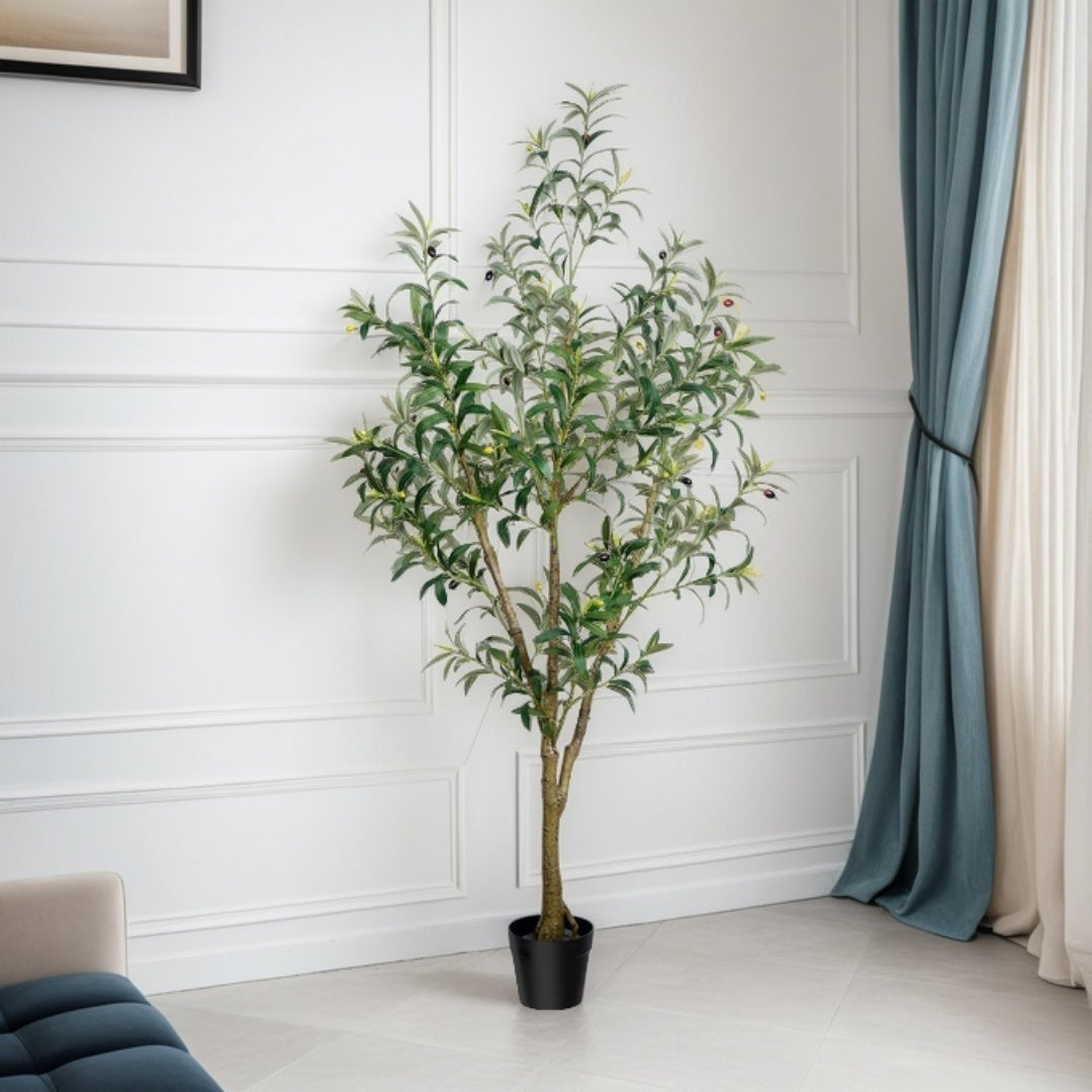 Multi-Branched Artificial Olive Tree with 5.25, 6 or 7 ft Height Options, Decorative Fruit and Black Nursery Pot