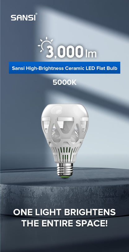 SANSI A21 LED Light Bulbs, 22W E26 Four-Pack with 3000-Lumen Marking in 3000K Warm or 5000K Daylight White