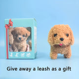 Brown (Gift Box Style)