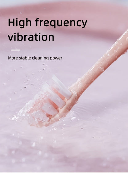 Electric Toothbrush with IPX8 Rating, Five Brush Heads, Metal Handle, USB Charging and Two-Minute Timer