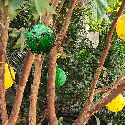 Five-Piece Yellow Hanging Adhesive Fly Ball Set with 3.15-Inch Diameter for Trees and Plant Areas