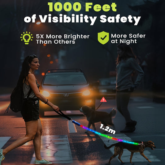 LED Dog Leash 4FT Light Up with 13 Lighting Modes & Tangle-Free Hook, Rechargeable Glow in the Dark Night Walking Leash for Small Medium Large Dogs, USB Rechargeable Pet Safety Leash