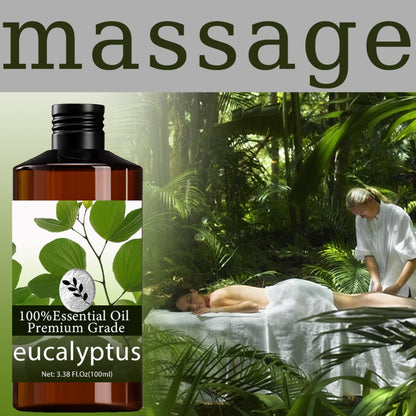 Essential Oil Eucalyptus Aroma in 100ml Bottle for Massage, Aromatherapy, Diffuser and Personal Care