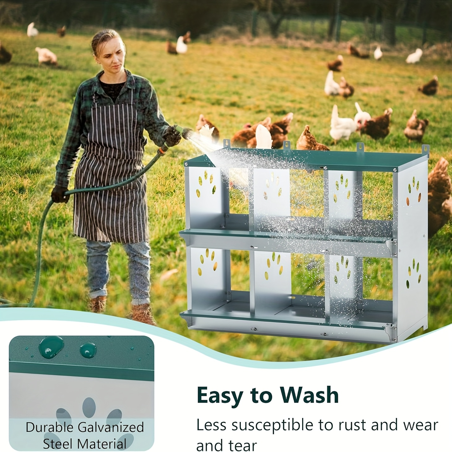 Metal Chicken Nesting Box Galvanized Steel 3-10 Compartment Roll-Away